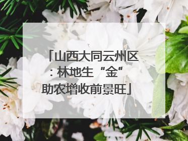山西大同云州区：林地生“金” 助农增收前景旺