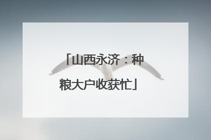 山西永济：种粮大户收获忙