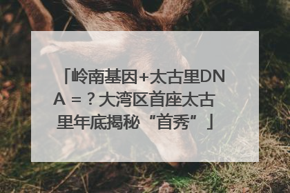 岭南基因+太古里DNA =？大湾区首座太古里年底揭秘“首秀”