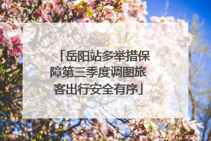 岳阳站多举措保障第三季度调图旅客出行安全有序
