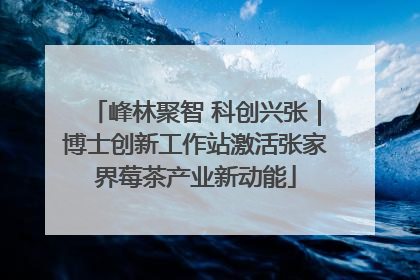峰林聚智 科创兴张｜博士创新工作站激活张家界莓茶产业新动能
