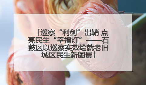 巡察“利剑”出鞘 点亮民生“幸福灯”——石鼓区以巡察实效绘就老旧城区民生新图景