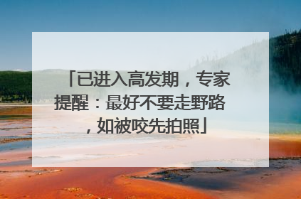 已进入高发期，专家提醒：最好不要走野路，如被咬先拍照