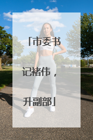 市委书记褚伟，升副部