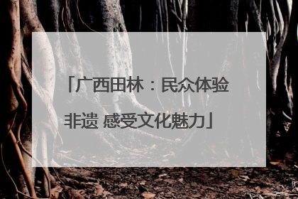 广西田林：民众体验非遗 感受文化魅力