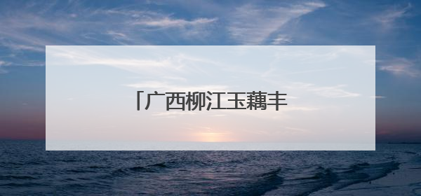 广西柳江玉藕丰收 村民采藕忙