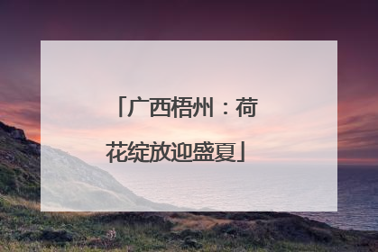 广西梧州：荷花绽放迎盛夏