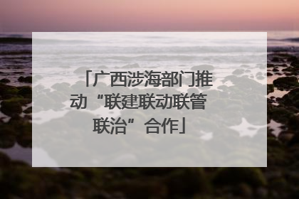 广西涉海部门推动“联建联动联管联治”合作