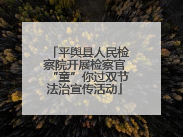平舆县人民检察院开展检察官“童”你过双节法治宣传活动