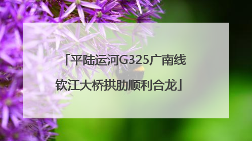平陆运河G325广南线钦江大桥拱肋顺利合龙