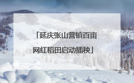延庆张山营镇百亩网红稻田启动插秧