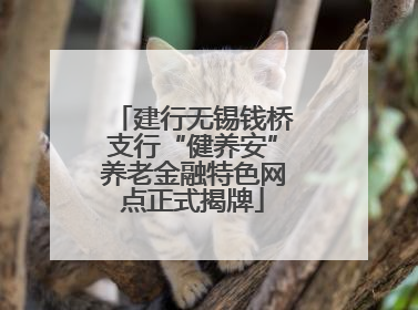 建行无锡钱桥支行“健养安”养老金融特色网点正式揭牌