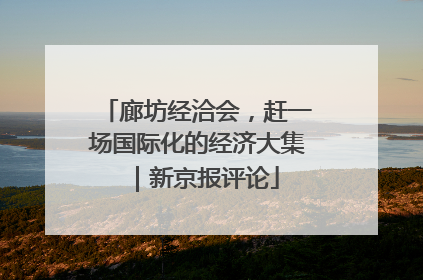 廊坊经洽会，赶一场国际化的经济大集｜新京报评论
