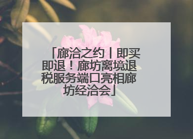 廊洽之约丨即买即退！廊坊离境退税服务端口亮相廊坊经洽会