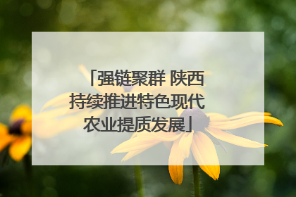 强链聚群 陕西持续推进特色现代农业提质发展