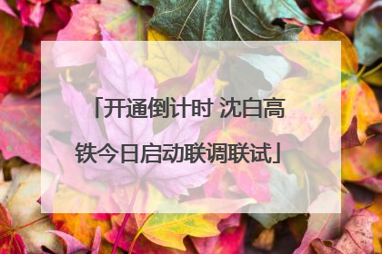 开通倒计时 沈白高铁今日启动联调联试