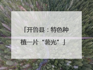 开鲁县：特色种植一片“薯光”