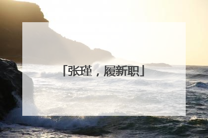 张瑾，履新职