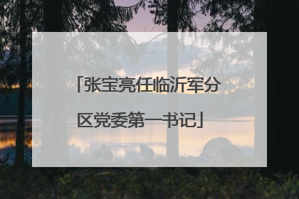 张宝亮任临沂军分区党委第一书记