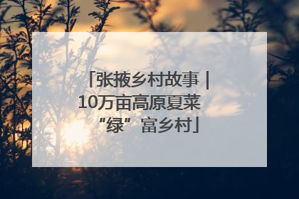 张掖乡村故事｜10万亩高原夏菜“绿”富乡村