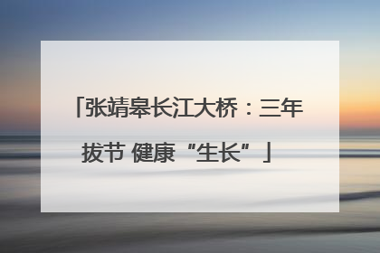 张靖皋长江大桥：三年拔节 健康“生长”