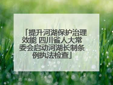 提升河湖保护治理效能 四川省人大常委会启动河湖长制条例执法检查