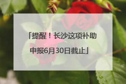 提醒！长沙这项补助申报6月30日截止