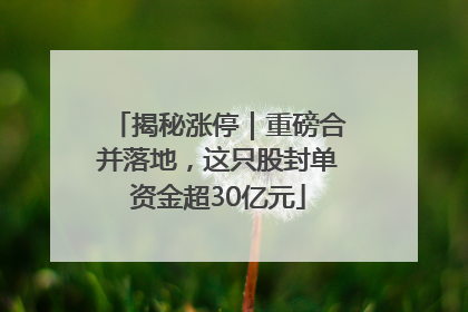 揭秘涨停｜重磅合并落地，这只股封单资金超30亿元