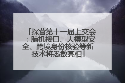 探营第十一届上交会：脑机接口、大模型安全、跨境身份核验等新技术将悉数亮相