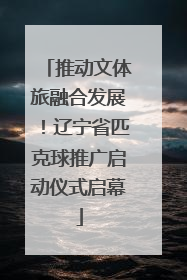 推动文体旅融合发展！辽宁省匹克球推广启动仪式启幕