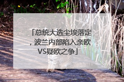 总统大选尘埃落定，波兰内部陷入亲欧VS疑欧之争