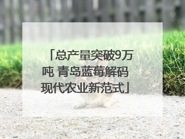 总产量突破9万吨 青岛蓝莓解码现代农业新范式