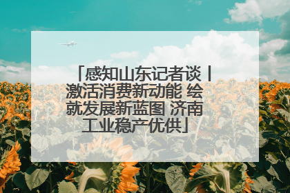 感知山东记者谈丨激活消费新动能 绘就发展新蓝图 济南工业稳产优供