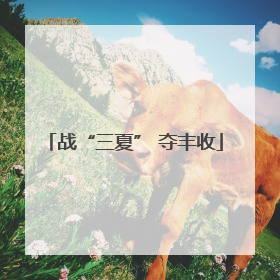 战“三夏” 夺丰收