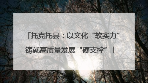 托克托县：以文化“软实力”铸就高质量发展“硬支撑”