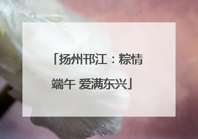 扬州邗江：粽情端午 爱满东兴