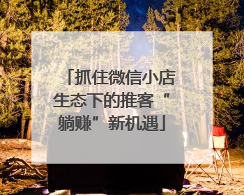 抓住微信小店生态下的推客“躺赚”新机遇
