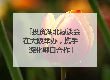 投资湖北恳谈会在大阪举办，携手深化鄂日合作