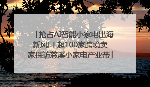 抢占AI智能小家电出海新风口 超100家跨境卖家探访慈溪小家电产业带