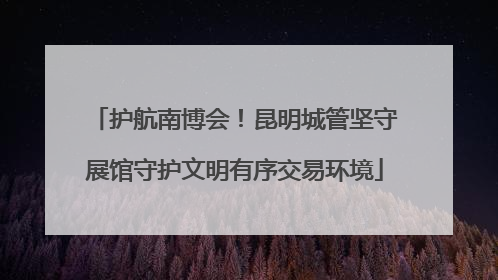 护航南博会！昆明城管坚守展馆守护文明有序交易环境