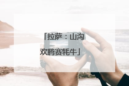 拉萨：山沟欢腾赛牦牛
