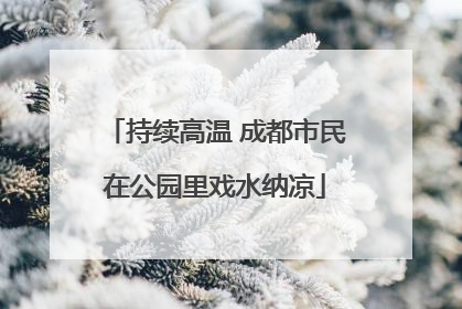 持续高温 成都市民在公园里戏水纳凉