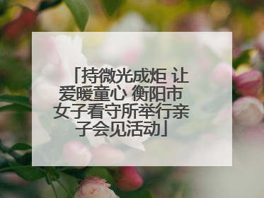 持微光成炬 让爱暖童心 衡阳市女子看守所举行亲子会见活动