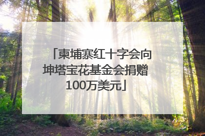柬埔寨红十字会向坤塔宝花基金会捐赠100万美元