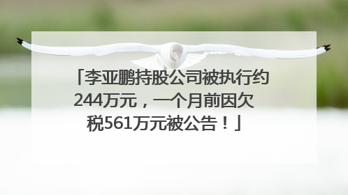 李亚鹏持股公司被执行约244万元，一个月前因欠税561万元被公告！