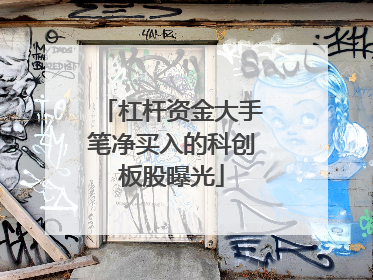 杠杆资金大手笔净买入的科创板股曝光