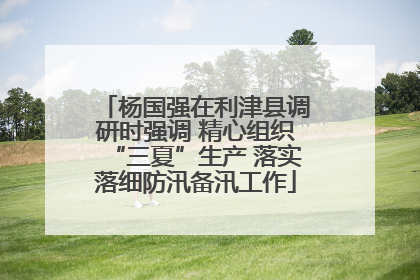 杨国强在利津县调研时强调 精心组织“三夏”生产 落实落细防汛备汛工作
