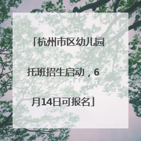 杭州市区幼儿园托班招生启动，6月14日可报名