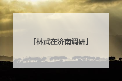 林武在济南调研