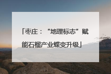 枣庄：“地理标志”赋能石榴产业蝶变升级
